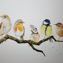 Mein Abschlussprojekt für den Kurs: Illustriere Vögel mit expressiven Aquarelltechniken. Traditional illustration, Watercolor Painting, Realistic Drawing, and Naturalistic Illustration project by kerstin13 - 01.31.2023