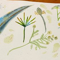 My project for course: Artistic Floral Watercolor: Connect with Nature. Ilustração tradicional, Pintura, Pintura em aquarela e Ilustração botânica projeto de justjules70 - 31.01.2023