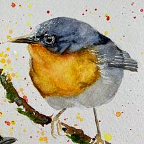 Mi proyecto del curso: Acuarela artística para ilustración de aves. Traditional illustration, Watercolor Painting, Realistic Drawing, and Naturalistic Illustration project by Mónica Pereira - 01.31.2023