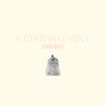Mi proyecto del curso: Canva de 0 a 100: crea diseños de forma profesional. Br, ing, Identit, Graphic Design, Web Design, and Social Media Design project by astridcastellsnavarro - 02.01.2023