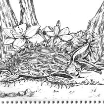 Meu projeto do curso: Ilustração de sketchbook à caneta: transforme seus erros. Esboçado, Desenho, Sketchbook e Ilustração com tinta projeto de Luiz Fernando Gomes - 08.02.2023
