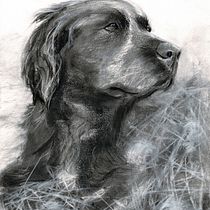 My project for course: Animal Illustration with Charcoal and Ink By Brian Mcilroy. Fine Arts, Drawing, Ink Illustration, and Naturalistic Illustration project by Brian Mcilroy - 02.01.2023