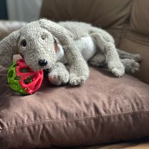 My project for course: Knitting Realistic Stuffed Animals: Make a Puppy from Yarn. Fiber Arts, DIY, Knitting, and Textile Design project by terrishea523 - 02.01.2023