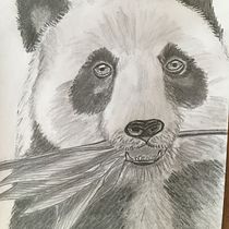 My project for course: Naturalistic Animal Drawing with Graphite Pencil. Ilustração tradicional, Desenho a lápis, Desenho e Ilustração naturalista projeto de yvonnejvirgo - 02.02.2023