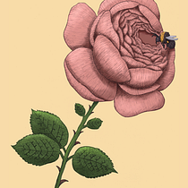 My project for course: Natural Illustration with Digital Painting. Traditional illustration, Drawing, Digital Illustration, Realistic Drawing, Digital Painting, and Naturalistic Illustration project by Elizabeth M. - 02.13.2023