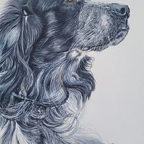 Meu projeto do curso: Retratos expressivos de animais em aquarela. Ilustração tradicional, Pintura em aquarela, Desenho realista e Ilustração naturalista projeto de Bruna Melo - 02.02.2023