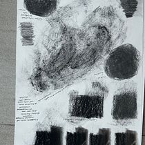My project for course: Animal Illustration with Charcoal and Ink. Fine Arts, Drawing, Ink Illustration, and Naturalistic Illustration project by Bev Barends - 02.03.2023