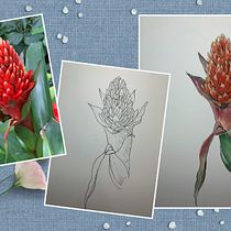 My project for course: Botanical Sketchbooking: A Meditative Approach. Un progetto di Illustrazione tradizionale, Bozzetti, Disegno, Pittura ad acquerello, Illustrazione botanica e Sketchbook di Cynthia Xu - 04.02.2023