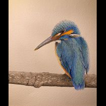 My project for course: Classical Oil Painting for Naturalist Bird Portraiture. Fine Arts, Painting, Oil Painting, and Naturalistic Illustration project by judiandsteve - 02.04.2023
