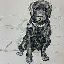 My project for course: Animal Illustration with Charcoal and Ink. Fine Arts, Drawing, Naturalistic Illustration & Ink Illustration project by Trisha Berry - 02.01.2023
