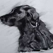 Mein Abschlussprojekt für den Kurs: Tiere zeichnen mit Kohle und Tusche. Fine Arts, Drawing, Ink Illustration, and Naturalistic Illustration project by Katrin Krammer - 02.05.2023