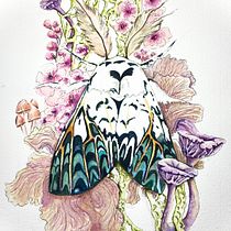 My project for course: Botanical Watercolor Painting of the Natural World . % Nicola Nicolle tarafından hazırlanan Güzel sanatlar, Tablo, Sulubo, a Resim, Botanik İllüstras, on, Doğalcı İllüstras, Ve on projesi - 02.05.2023