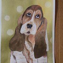 Il mio progetto del corso: Ritratti espressivi di animali ad acquerello. Ilustração tradicional, Pintura em aquarela, Desenho realista e Ilustração naturalista projeto de Luciana Amato - 06.02.2023