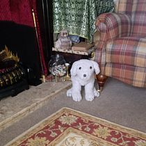 My project for course: Knitting Realistic Stuffed Animals: Make a Puppy from Yarn. Fiber Arts, DIY, Knitting, and Textile Design project by pol - 02.04.2023