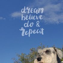 Mi proyecto del curso: Creación y edición de contenido para Instagram Stories. Un projet de Réseaux sociaux, Photographie smartphone, Marketing digital, Photographie numérique, Marketing mobile, Instagram, Marketing de contenu, Photographie pour Instagram, Marketing pour Instagram, Photographie lifest , et le de Lorna Orta - 06.02.2023