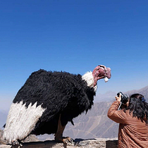 Tomas de Arequipa, Perú Ein Projekt aus dem Bereich Fotografie, Digitalfotografie und Fotografische Komposition von Brigitte Milagros - 07.11.2022