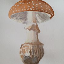 Mój projekt z kursu: Ilustracja elementów przyrodniczych w akwareli. Un progetto di Illustrazione tradizionale, Pittura ad acquerello e Illustrazione naturalistica di paulina_lew - 07.02.2023