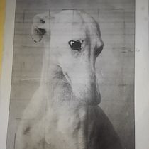 Mi proyecto del curso: Técnicas experimentales de acuarela para principiantes. Un progetto di Illustrazione tradizionale, Belle arti, Pittura ad acquerello e Illustrazione naturalistica di Antoliano Valdez - 07.02.2023