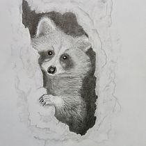 Raccoon (Procyon lotor): Naturalistic Animal Drawing with Graphite Pencil. Ilustração tradicional, Desenho a lápis, Desenho, Ilustração naturalista, Esboçado, Desenho realista, e Narrativa projeto de Brad Atchison - 07.02.2023