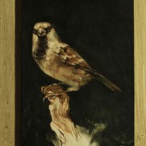 My project for course: Classical Oil Painting for Naturalist Bird Portraiture. Fine Arts, Painting, Oil Painting, and Naturalistic Illustration project by vargaemilia9898 - 02.08.2023