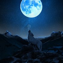 LA LUZ DEL LOBO . Photograph, Photograph, Post-production, VFX, Photo Retouching, Fine-Art Photograph, Photographic Composition, and Photomontage project by Carlos Designer - 02.09.2023
