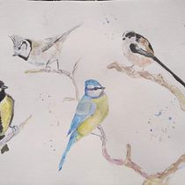 Il mio progetto del corso: Acquerello artistico per illustrazione di animali: gli uccelli. Traditional illustration, Watercolor Painting, Realistic Drawing, and Naturalistic Illustration project by Antonio Balzarini - 02.08.2023