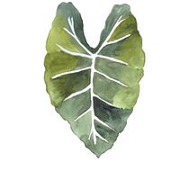 Mon projet du cours : Aquarelle botanique pour la création d’imprimés. Projekt z dziedziny Trad, c, jna ilustracja, Pattern design, Malowanie akwarelą, R i sunek botaniczn użytkownika bymurielle - 31.01.2023