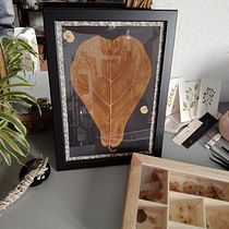 Mi proyecto del curso: Técnicas básicas de prensado botánico. Un progetto di Artigianato, Belle arti, Collage, DIY e Design floreale e vegetale di Flor Giaccaglia - 10.02.2023