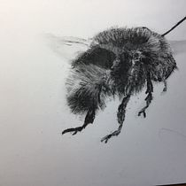 My project for course: Illustrating the Natural World with Watercolor and Charcoal. Traditional illustration, Painting, and Naturalistic Illustration project by Lynda White - 02.08.2023