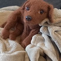 My project for course: Knitting Realistic Stuffed Animals: Make a Puppy from Yarn. Fiber Arts, DIY, Knitting, and Textile Design project by jessica.pusch - 02.11.2023