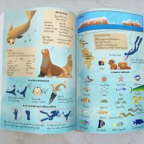 My project for course: Wildlife Illustration for Children's Books - A guide to the sea lion colony. Un progetto di Illustrazione vettoriale, Illustrazione digitale e Illustrazione infantile di Hannah Schmiddi - 08.02.2023