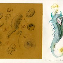 Mi proyecto del curso: Sketchbook de naturaleza fantástica: dibuja criaturas de otro mundo. Pencil Drawing, Drawing, Watercolor Painting, Sketchbook, and Naturalistic Illustration project by Pauli Lopez Perez - 02.11.2023