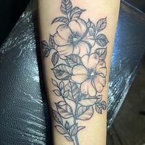 Mi proyecto del curso: Tatuaje botánico con puntillismo. Projekt z dziedziny Trad, c, jna ilustracja, Projektowanie tatuaż, R i sunek botaniczn użytkownika Eduardo Damiani Guzman cholele - 09.02.2023