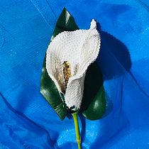 Mi proyecto del curso: Diseño de piezas decorativas con lentejuelas. Un projet de Création d'accessoires, Artisanat, Conception de produits , et Design textile de Metzli Lorelei Bustamante Amado - 31.12.2022