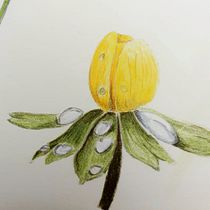 Mein Abschlussprojekt für den Kurs: Illustration im Skizzenbuch mit Buntstiften. Traditional illustration, Fine Arts, Sketching, Pencil Drawing, Drawing, Artistic Drawing, and Sketchbook project by laraoleart - 02.12.2023