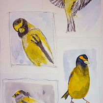 Mon projet du cours : Illustrer la nature : une exploration créative. Traditional illustration, Painting, Drawing, Watercolor Painting, Ink Illustration, and Naturalistic Illustration project by sovignola - 02.13.2023
