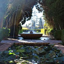 La belleza de la luz . Fotografie, Fotografie în aer liber și Fotografii de stil de viață de Ione Gaztañaga Rodriguez - 02.13.2023