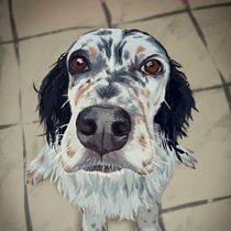 Mein Abschlussprojekt für den Kurs: Karikaturen zeichnen mit Infinite Painter. Un projet de Illustration traditionnelle et Illustration numérique de karina_smiller - 13.02.2023