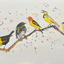 My project for course: Artistic Watercolor Techniques for Illustrating Birds. Traditional illustration, Watercolor Painting, Realistic Drawing, and Naturalistic Illustration project by Nic Steenhout - 02.13.2023