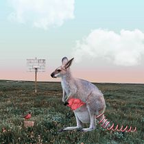 Ventre rouge et ballons. Photograph, Collage, Photo Retouching, Digital Illustration, Photographic Composition, and Photomontage project by Florence Fadier - 02.14.2023