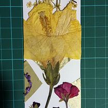 Mi proyecto del curso: Técnicas básicas de prensado botánico. Un progetto di Artigianato, Belle arti, Collage, DIY e Design floreale e vegetale di Janeth Franco - 14.02.2023