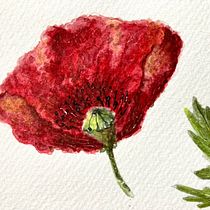My project for course: Botanical Illustration with Watercolors. Traditional illustration, Fine Arts, Painting, Drawing, Watercolor Painting, and Botanical Illustration project by Kristina - 08.19.2022