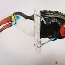 Mon projet du cours : Illustration naturaliste d'oiseaux à l'aquarelle. Ilustração tradicional, Pintura em aquarela, Desenho realista e Ilustração naturalista projeto de anna.stier - 15.02.2023