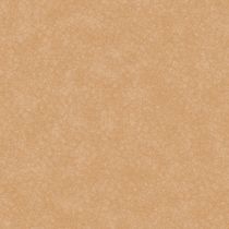 A lovely book. Een project van Digitale tekening van severedhead - 16.02.2023