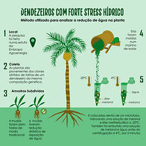 Meu projeto do curso: Design de informação: crie infográficos editoriais. Un projet de Design graphique, Design de l'information, Design d'interaction et Infographie de irismaltadasilva - 16.02.2023