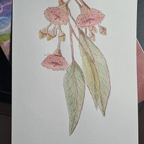 My project for course: Illustrating Nature with Watercolor and Pen. Traditional illustration, Fine Arts, Painting, Drawing, Watercolor Painting, and Botanical Illustration project by ellemcclintock - 02.18.2023
