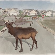 My project for course: Illustration with Procreate: Draw Extraordinary Scenes. Un projet de Illustration traditionnelle, Illustration numérique , et Dessin numérique de Michael Connelly - 19.02.2023