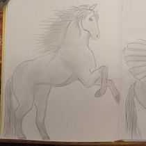 Mi proyecto del curso: Dibujo a lápiz de animales realistas para cuentos. Un progetto di Character design, Disegno a matita, Disegno e Illustrazione infantile di Mariana Laura - 15.02.2023
