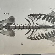 Imaginary anatomy  Ein Projekt aus dem Bereich Bildende Künste, Skizzenentwurf, Bleistiftzeichnung, Zeichnung, Realistische Zeichnung und Anatomische Zeichnung von Elisa Shadow - 19.02.2023