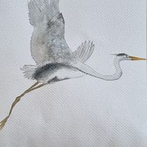 Il mio progetto del corso: Acquerelli naturalistici espressivi e con personalità. Traditional illustration, Watercolor Painting, and Naturalistic Illustration project by estermosca - 02.20.2023